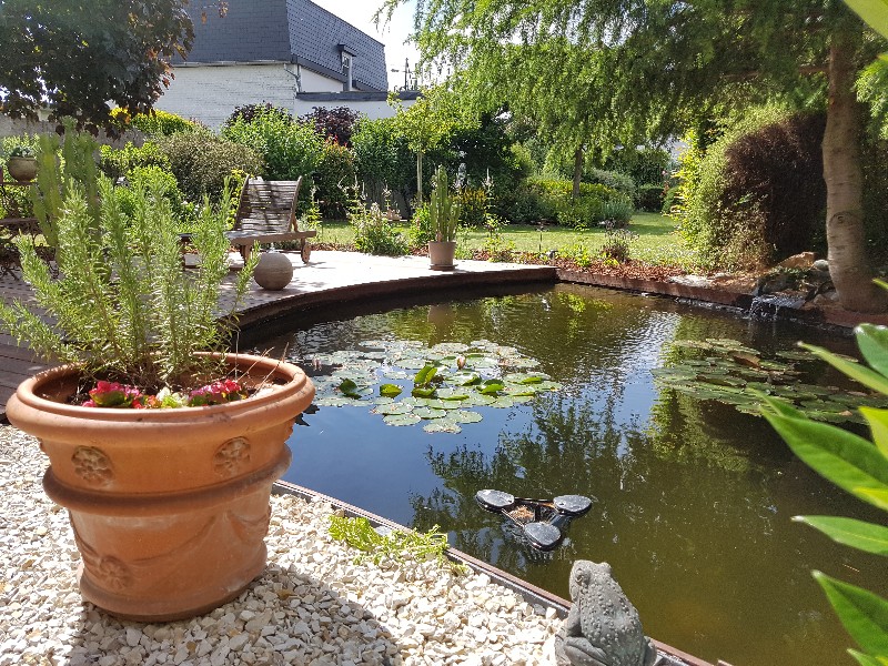 Installation de bassins et étangs Tournai - Paysagiste Orcq